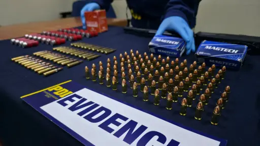 Allanamiento termina con mujer detenida y decomiso de rifle y 165 municiones en Gorbea