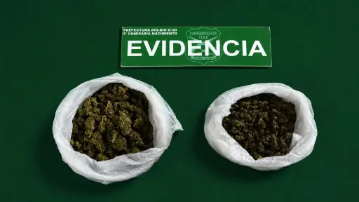 Conductor evade control policial y es detenido con 209 gramos de marihuana en Nacimiento