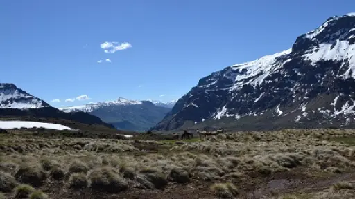 Desde Alto Biobío hasta Italia