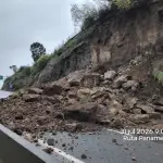 Ruta 5 Sur, Cedida