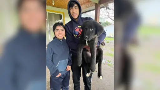 Inicia nueva vida: se concretó la entrega del perrito rescatado de una tubería en Los Ángeles