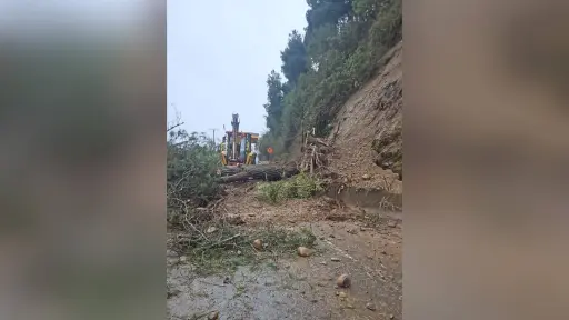 Cuesta Mininco mantiene tránsito alternado en ruta Los Ángeles-Santa Bárbara-Ralco por caída de árboles