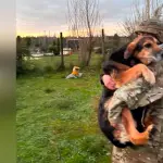 Rescate animal, Cedida