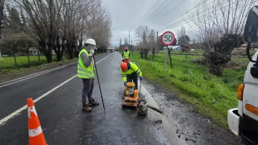 Actualización de rutas en Biobío: Despejan árboles en Ruta de la Madera y mantienen cortes en puentes