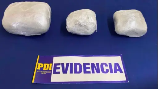 Can detector Apolo permitió detectar droga enviada por courier: dos detenidos en operativo de la PDI