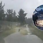 \'Llevamos dos semanas sin luz ni agua potable\': Mujer y sus 24 perros reportan completo aislamiento en sector rural de Quilleco, La Tribuna