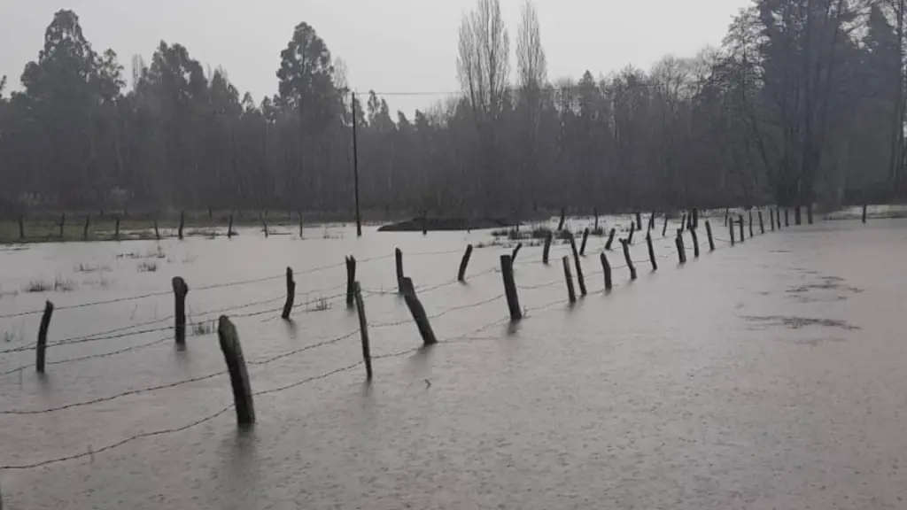 Desborde río Laja en Chillancito, Cedida