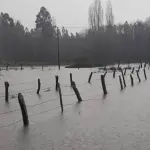 Desborde río Laja en Chillancito, Cedida