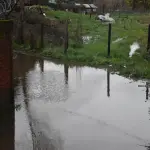 Suelos saturados, La Tribuna