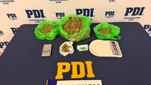 Desarticulan red de tráfico de drogas que operaba entre Angol y Collipulli