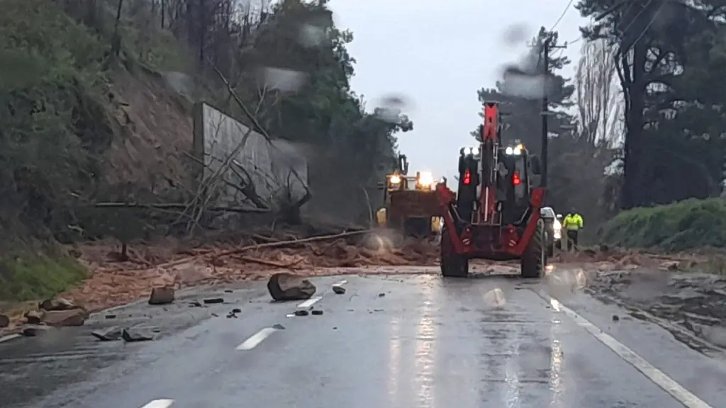 Ruta de la madera, Contexto - Diario Concepción | Genérica