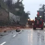 Ruta de la madera, Contexto - Diario Concepción | Genérica