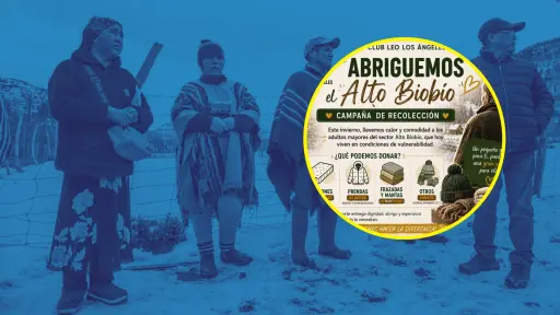 Abriguemos el Alto Biobío: impulsan campaña para reunir ayuda destinada a adultos mayores