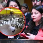 La diputada por el Distrito 21, exige al Ministerio de Educación una pronta solución para los más de 400 alumnos del Programa de Nivelación de Estudios en el Biobío que permanecen sin clases desde marzo., Lilian Betancurt
