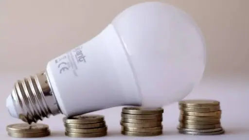 Subsidio Eléctrico 2026: esta es la fecha en que podrás saber si recibes el descuento en tu boleta de la luz