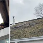 Las reparaciones al interior del recinto se encuentran en proceso, luego de los dos últimos robos registrados durante el último mes. , Diario La Tribuna