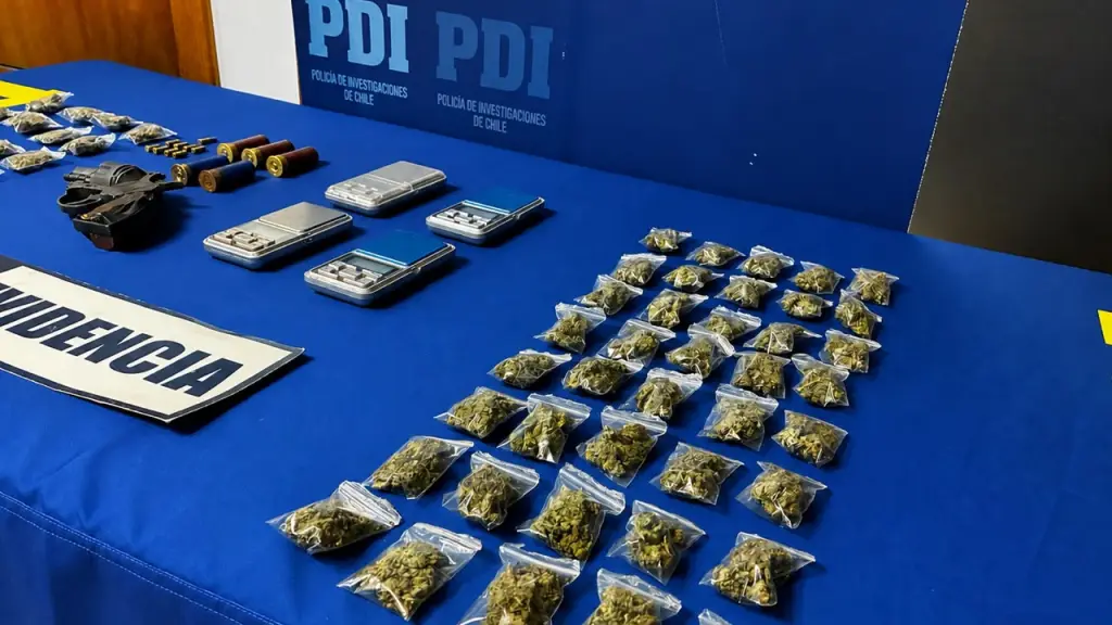 Drogas y armas fueron incautadas en medio de operativo en Tirúa, PDI Biobío