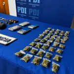 Drogas y armas fueron incautadas en medio de operativo en Tirúa, PDI Biobío