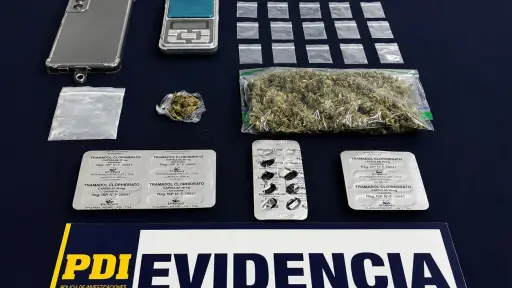 Pareja es aprehendida por microtráfico de drogas en Traiguén: PDI incauta cocaína, cannabis y vehículo