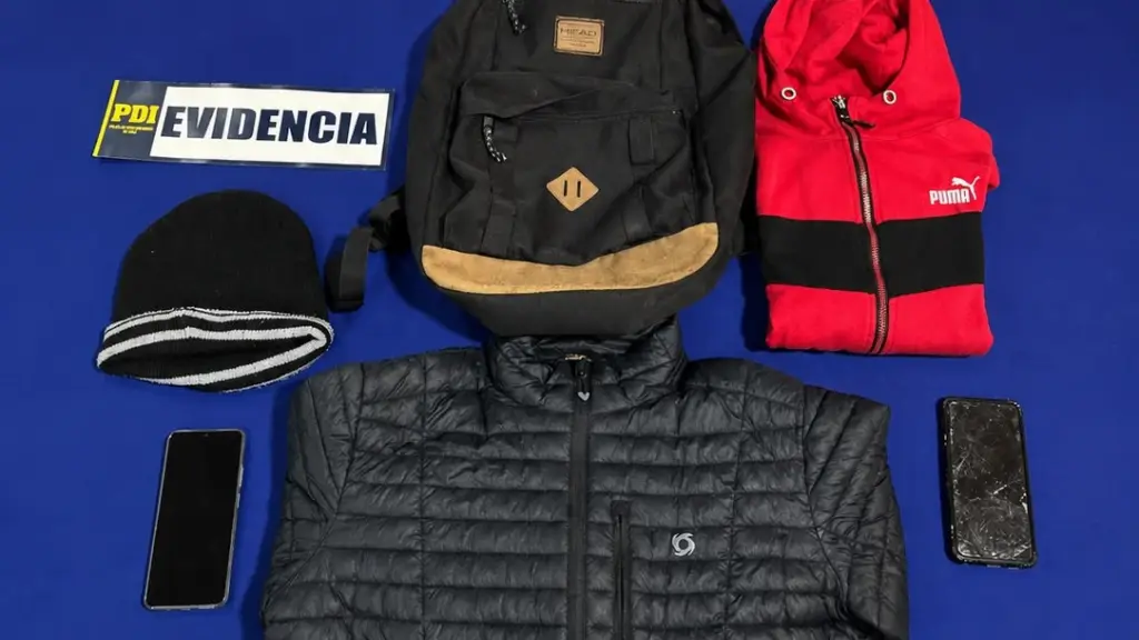 Especies incautadas por detectives de Victoria, PDI Araucanía