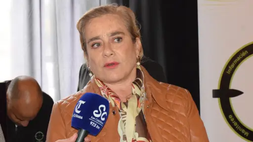 Diputada Flor Weisse UDI llama a acelerar comisión mixta para que la megarreforma se convierta pronto  en ley