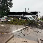 Árbol cayó sobre camioneta en Cabrero, Cedida