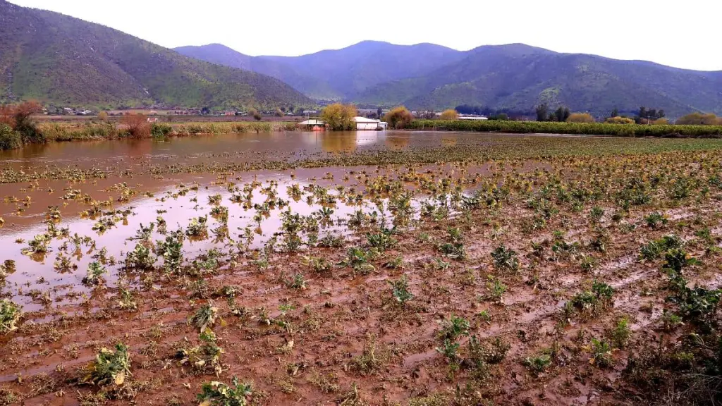 El presidente de la SNA, Antonio Walker, señaló que aún es prematuro cuantificar los daños del sistema frontal y destacó que las precipitaciones también han permitido recuperar reservas de agua y nieve tras años de sequía., Minagri
