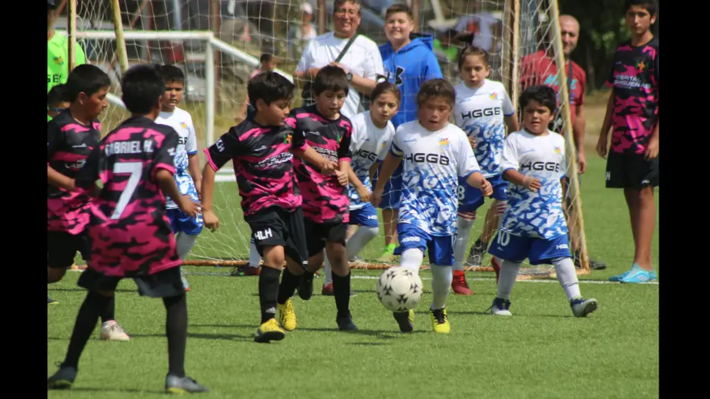 En el verano es normal, ver el desarrollo de competencias formativas en las canchas de pasto sintético que la Escuela tiene en el sector Campo Alegre, La Tribuna