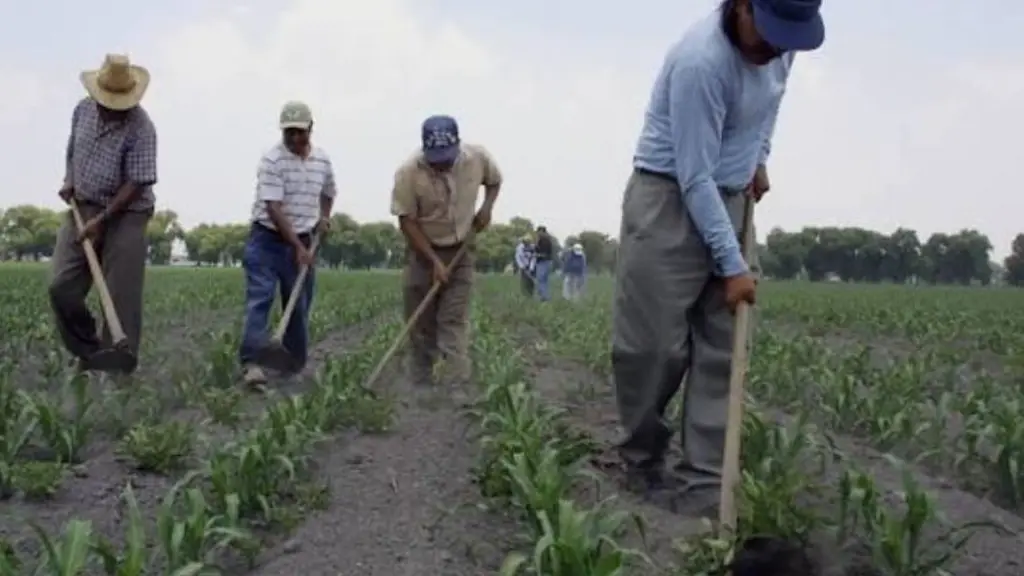 Día de las Campesinas y Campesinos: INDAP amplía plazo para seguros tras sistema frontal, Eric Eduardo Palma 