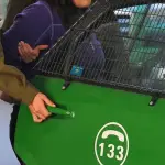 El menor logró escapar de su vivienda para pedir ayuda a una vecina., contexto
