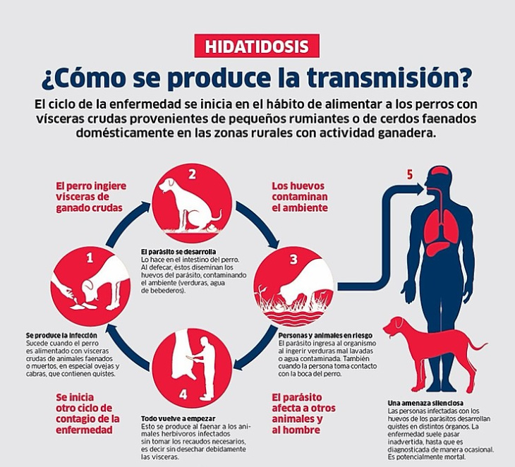 cómo se transmite la enfermedad? / Redes sociales