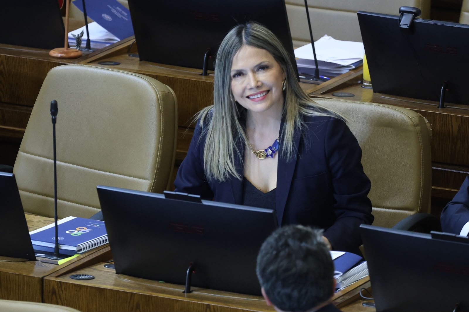 Diputada Marlene Pérez / Cedida