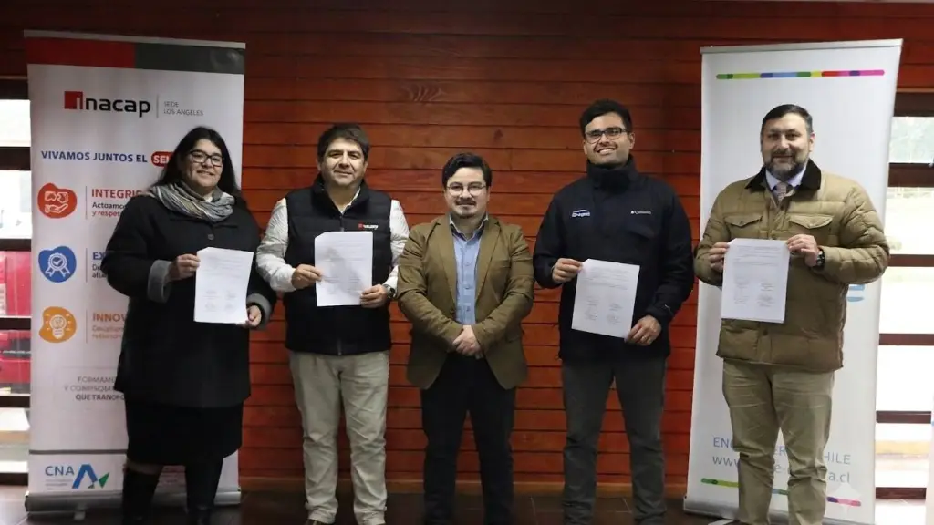 La colaboración estrecha entre el sector técnico-profesional y las empresas resulta fundamental para asegurar una formación que responda efectivamente a las demandas y dinámicas del mercado laboral.