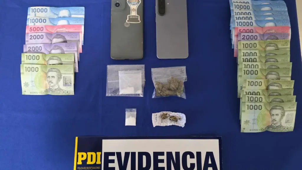 Especies incautadas por la PDI en Temuco, PDI Araucanía