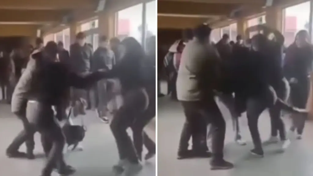 Con tirones de pelo y manotazos: Registran pelea entre estudiantes en los pasillos del Liceo Industrial de Los Ángeles, La Tribuna