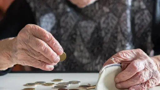 Biobío: más de 11 mil viviendas de adultos mayores podrían quedar exentas de contribuciones