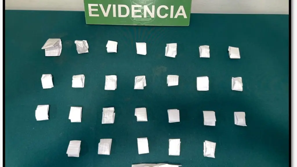 La droga fue incautada por efectivos de la SIP de Carabineros de Nacimiento, Cedida