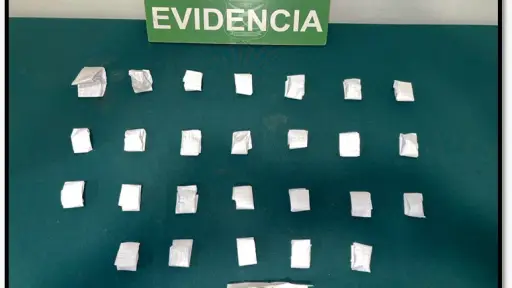 Sorprenden a conductor que transportaba marihuana durante fiscalización en Negrete