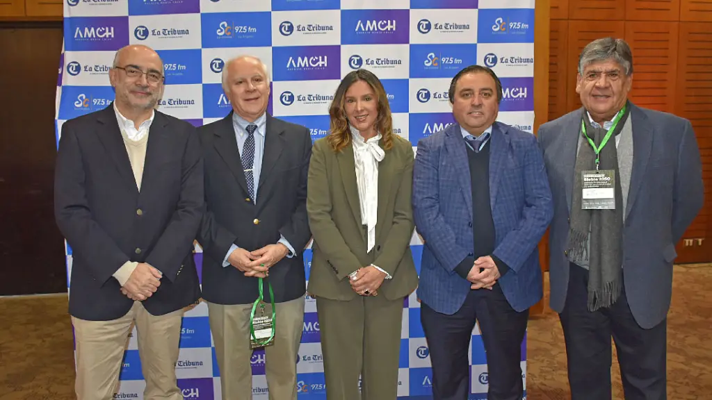 Francisco Reveco, gerente de Relacionamiento Bosque & Industria CMPC; Alejandro Casagrande, presidente Corma Biobío-Ñuble; Carolina Vivallo, coordinadora provincial Desarrolla Biobío; Richard Zamorano, expositor y asesor forestal para la Estrategia 2050 d | La Tribuna