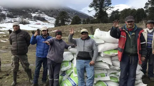 INDAP pide recursos extraordinarios para apoyar a agricultores afectados por nevazones en Alto Biobío