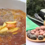 La tercera Fiesta de la Papa Frita Mapuche Ancestral, iniciativa que contará con financiamiento del FNDR., Edición Diario La Tribuna - Municipalidad de Nacimiento