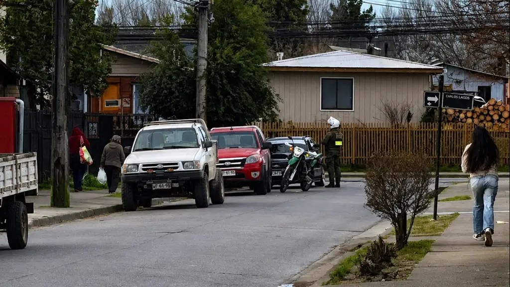 Control policial, Carabineros de Chile