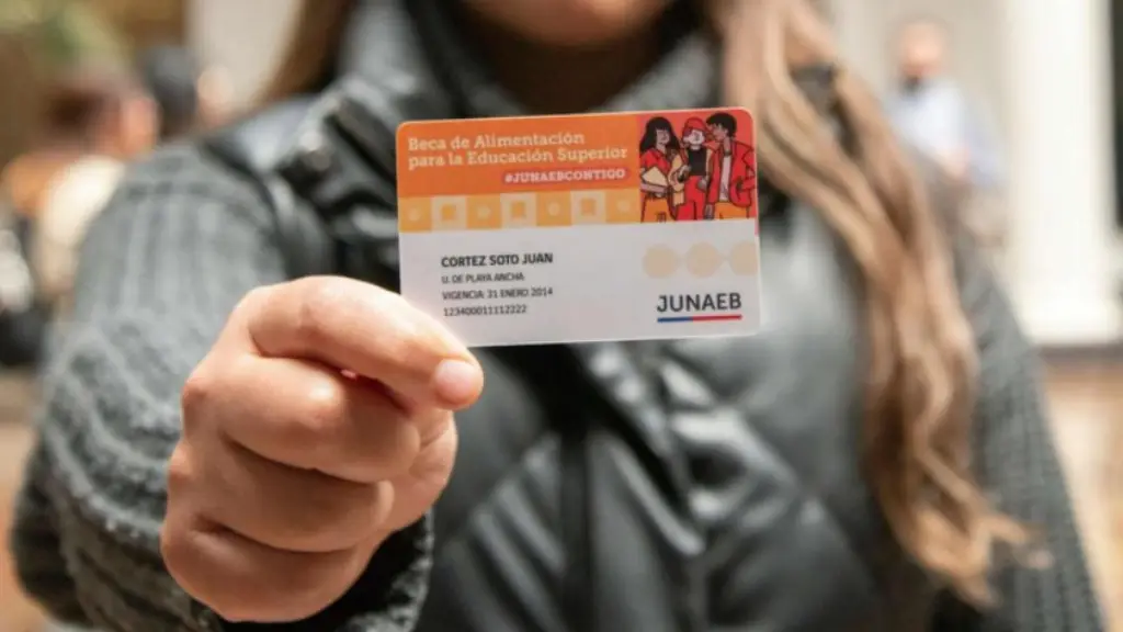 Junaeb anunció la digitalización gradual de la TNE durante 2026. La tarjeta digital convivirá inicialmente con el formato plástico., Agencia UNO