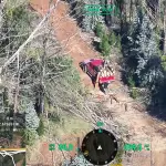 El delito habría sido perpetrado en las inmediaciones de un predio forestal ubicado en el sector Tolpán, comuna de Renaico., PDI Araucanía