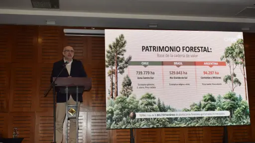 Ciclo de Encuentros Biobío 2050: innovación y sostenibilidad marcan la hoja de ruta del sector forestal