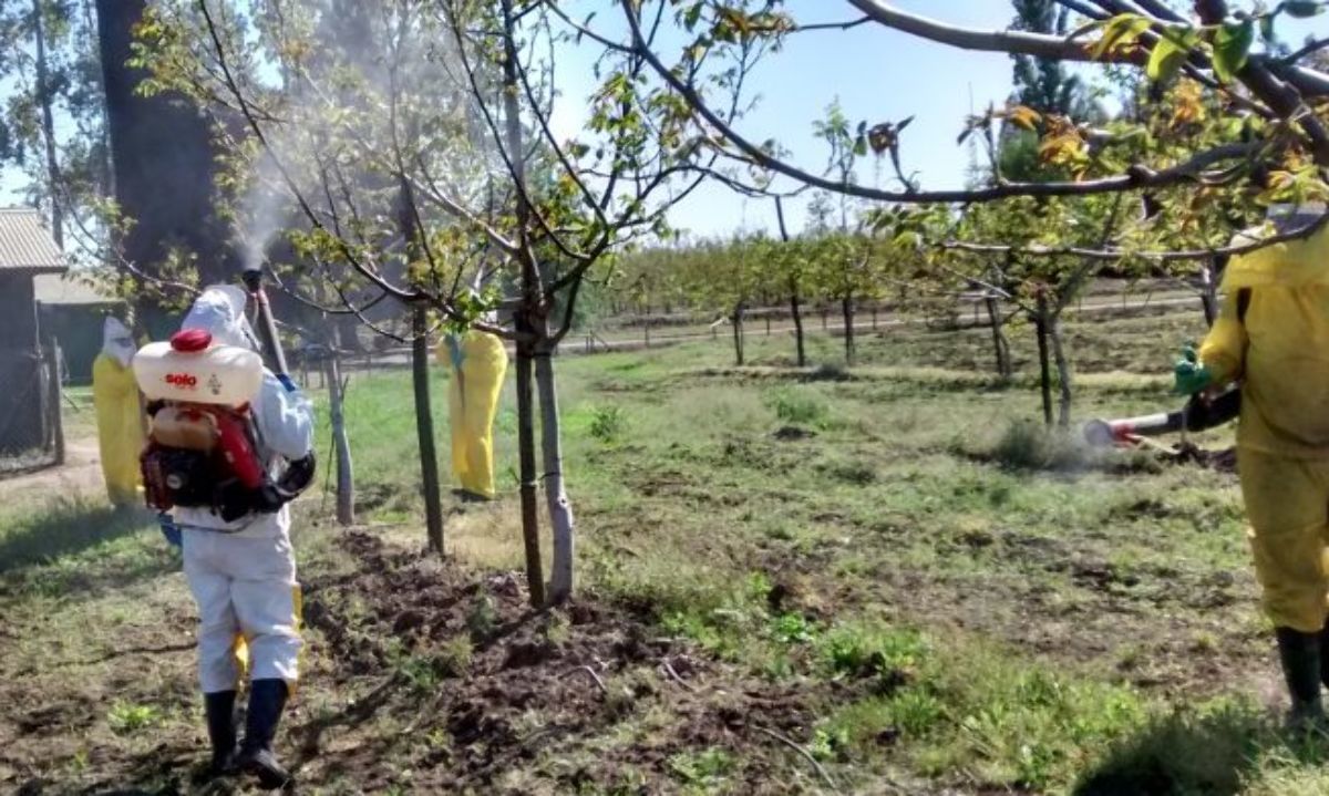 La barrera económica: el alto costo de la prevención / Diario Concepción