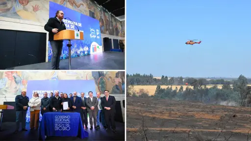 Tres comunas de Biobío entre las priorizadas en convenio de .800 millones para recuperación forestal