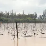 Contexto, La Tribuna