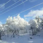 Manto de nieve en Alto Biobío, Cedida