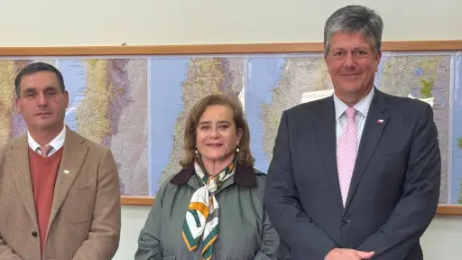 Diputada Weisse aborda con subsecretario de Obras Públicas proyectos clave de conectividad para Nacimiento 